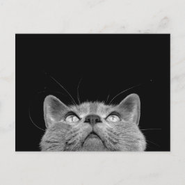 -郵便はがきを調べること ポストカード