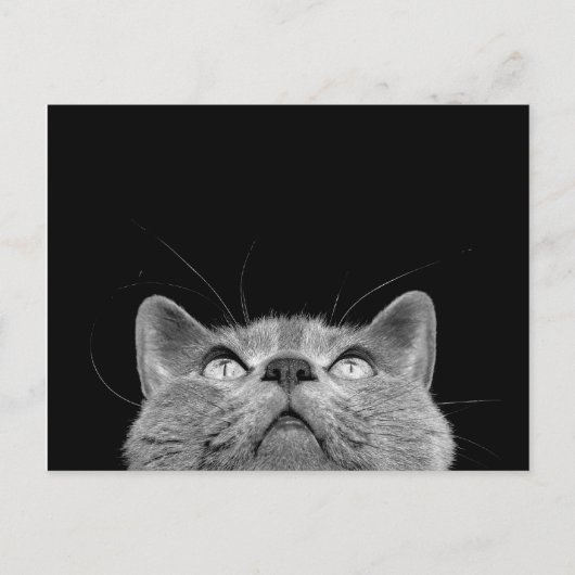 -郵便はがきを調べること ポストカード (正面)