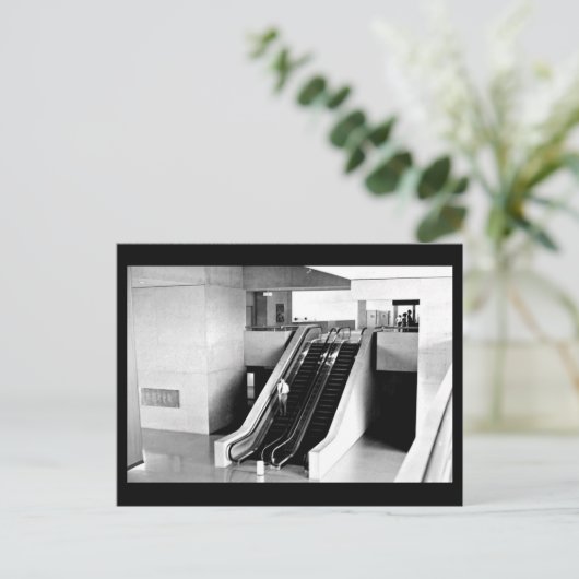 郵便はがきダラスの写真撮影43 ポストカード (スタンド正面)