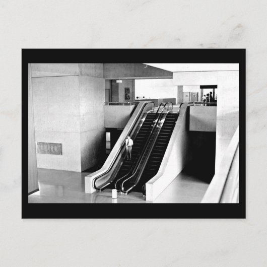 郵便はがきダラスの写真撮影43 ポストカード (正面)