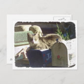 郵便はがき得がある ポストカード (正面/裏面)