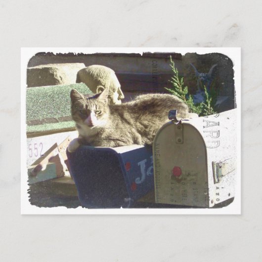 郵便はがき得がある ポストカード (正面)