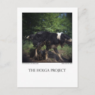 郵便はがき8 ポストカード