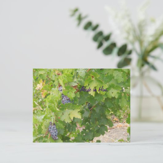 郵便はがき: つる植物の耕作されたブドウ、ジョン15を乾燥して下さい ポストカード (スタンド正面)