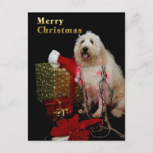 郵便はがき-クリスマスの挨拶-小犬 シーズンポストカード
