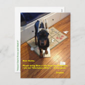 郵便はがき シーズンポストカード (正面/裏面)