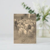 郵便はがき ポストカード (スタンド正面)