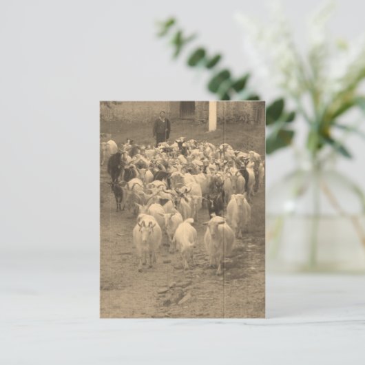 郵便はがき ポストカード (スタンド正面)