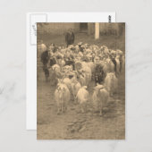 郵便はがき ポストカード (正面/裏面)