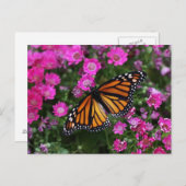 郵便はがき ポストカード (正面/裏面)