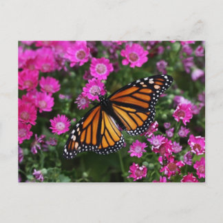 郵便はがき ポストカード