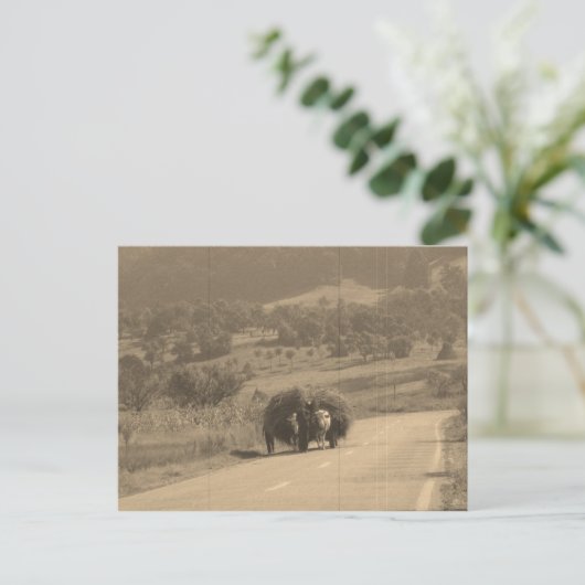 郵便はがき ポストカード (スタンド正面)