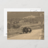 郵便はがき ポストカード (正面/裏面)