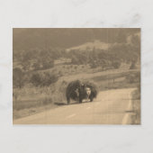 郵便はがき ポストカード (正面)