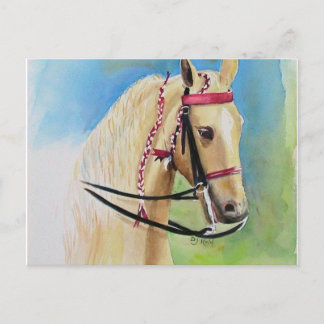 郵便はがき ポストカード