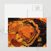 郵便はがき ポストカード (正面/裏面)