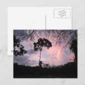 郵便はがき: 日没の世界フロリダ ポストカード (正面/裏面)