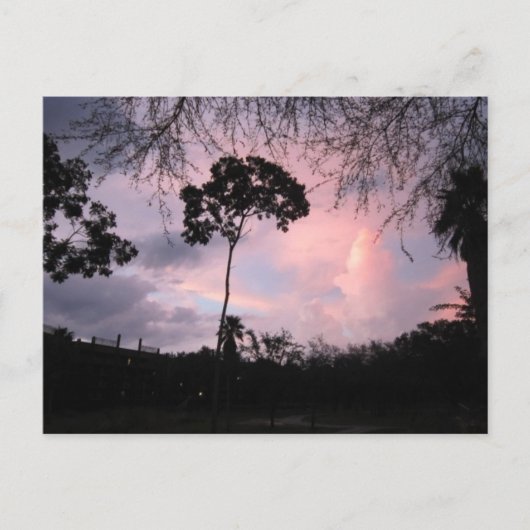 郵便はがき: 日没の世界フロリダ ポストカード (正面)