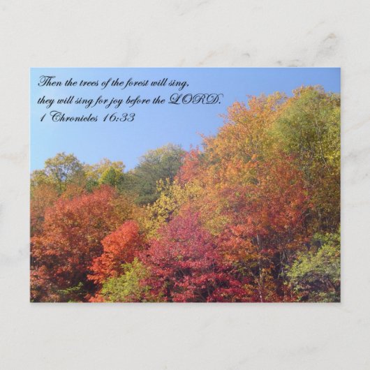 郵便はがき: 木は歌います ポストカード (正面)