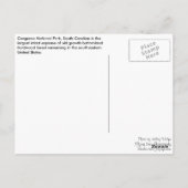 郵便はがき-森林道 ポストカード (裏面)