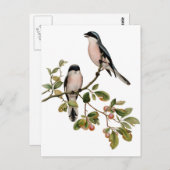 郵便はがき- 2羽の鳥 ポストカード (正面/裏面)
