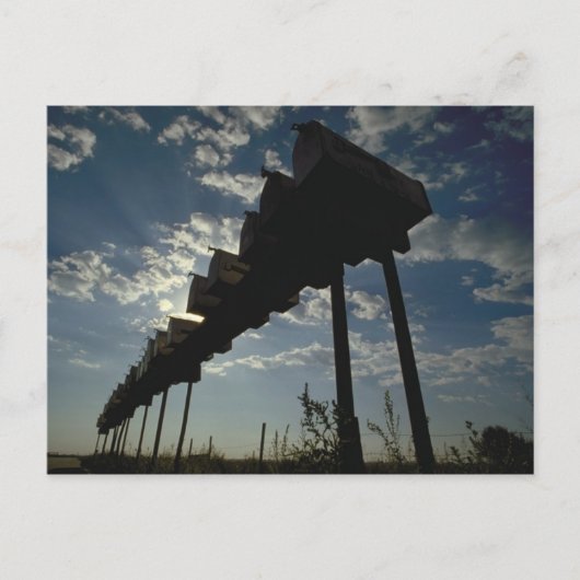 郵便は郵便はがきを囲みます ポストカード (正面)