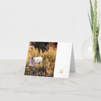 郵便を待っていること カード