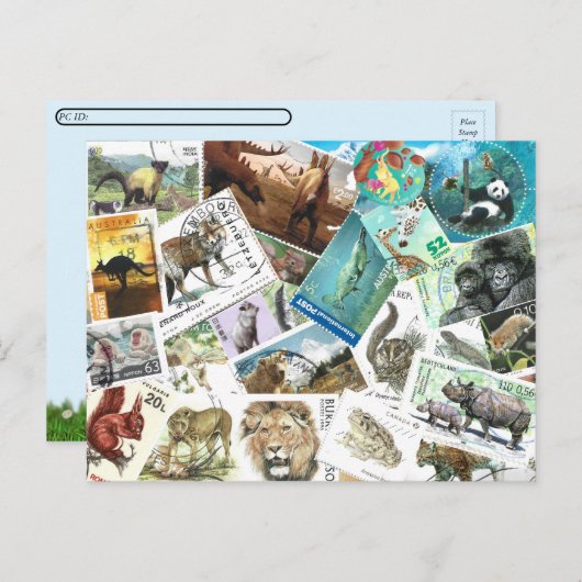 郵便切手葉書 シーズンポストカード (正面/裏面)