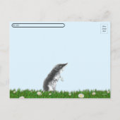 郵便切手葉書 シーズンポストカード (裏面)