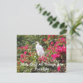 郵便感動的カード ポストカード (スタンド正面)