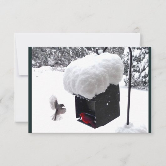 郵便配達員, 郵便屋, UPS, FedEx, サービス料のチップカード 招待状 (正面)