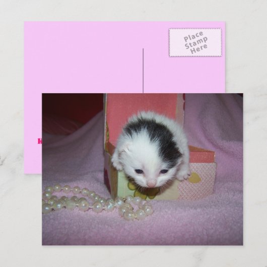 郵便配達 ポストカード (正面/裏面)