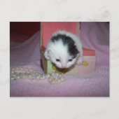 郵便配達 ポストカード (正面)