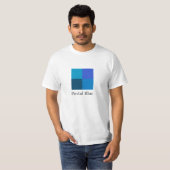 郵便青大ロゴ Tシャツ (正面フル)