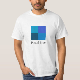 郵便青大ロゴ Tシャツ