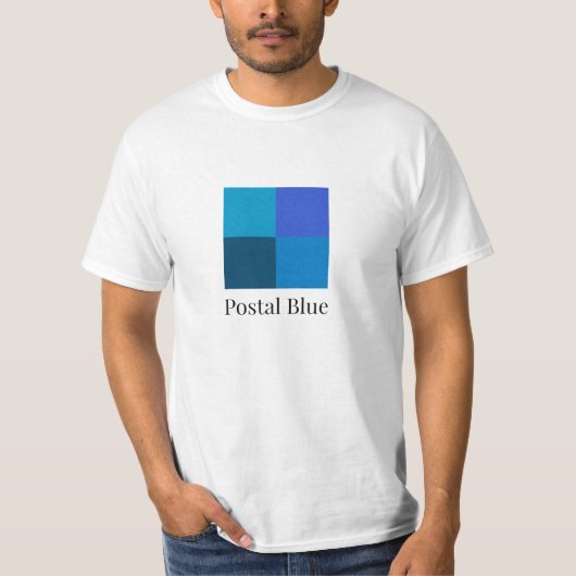 郵便青大ロゴ Tシャツ (正面)