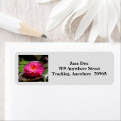 郵送住所 シール#30を返す ラベル (インサイチュ)