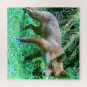 郷土の野生のキツネの子 森の静けさ 自然のアート ジグソーパズル (横)