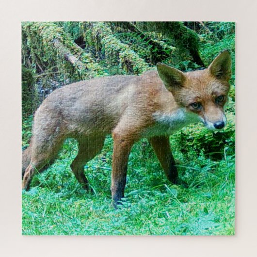 郷土の野生のキツネの子 森の静けさ 自然のアート ジグソーパズル (縦)