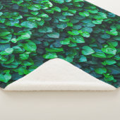 都会のジャングル風の屋内園芸 シェルパブランケット (3/4)