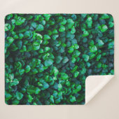 都会のジャングル風の屋内園芸 シェルパブランケット (正面(横))