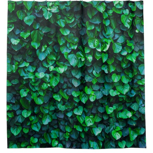 都会のジャングル風の屋内園芸 シャワーカーテン (正面)