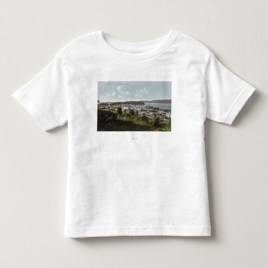 都市および鳴き声湾の空中写真 トドラーTシャツ (正面)