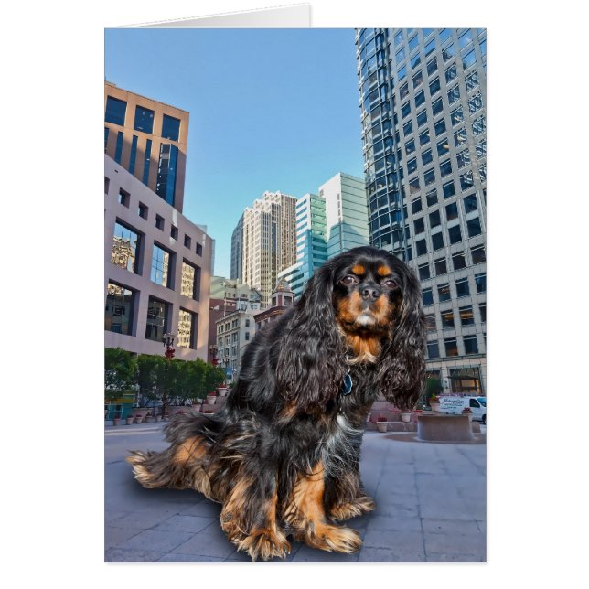 都市の犬 (正面)