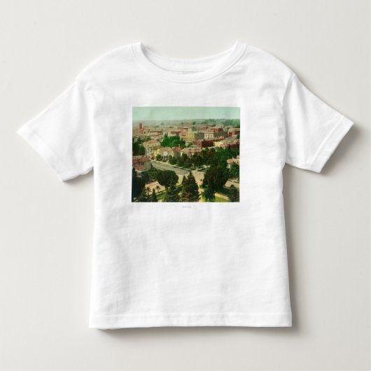 都市の空中写真 トドラーTシャツ (正面)