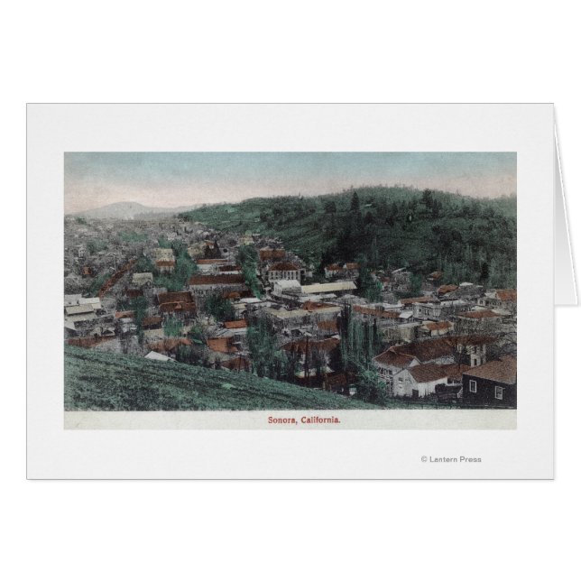 都市の空中表示#2ソノラ， CA (正面横)