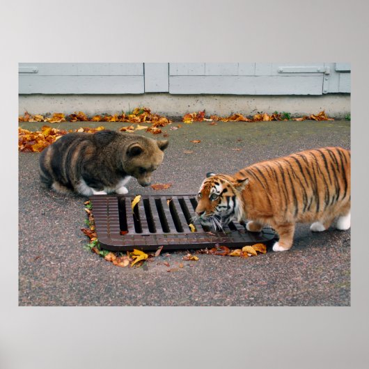 都市ウォーターホールポスター ポスター (正面)