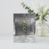 都市ヒマワリ ポストカード (スタンド正面)