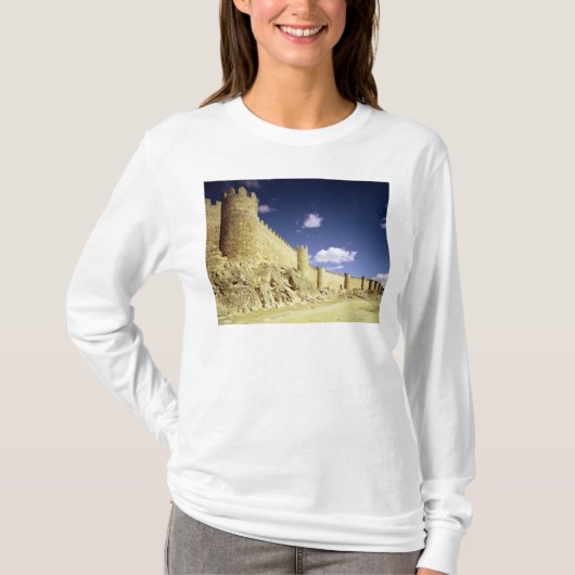 都市壁 Tシャツ (正面)