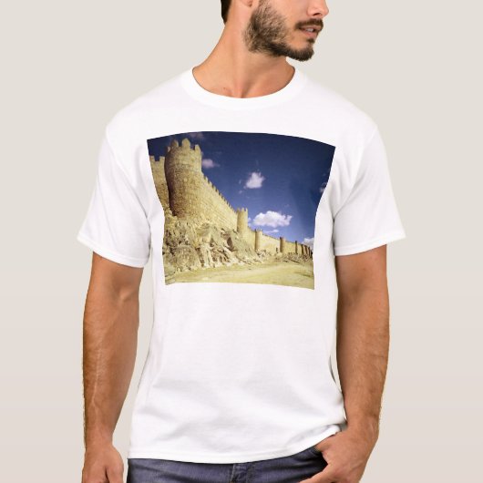 都市壁 Tシャツ (正面)